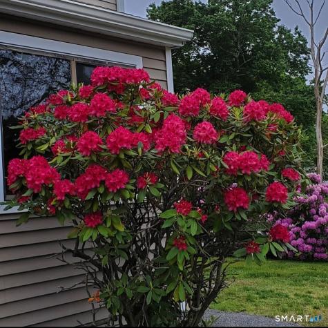 45 Hewitt Road Stonington CT 06355