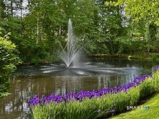 71 Hale Lane Darien CT 06820