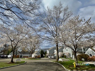 71 Hale Lane Darien CT 06820