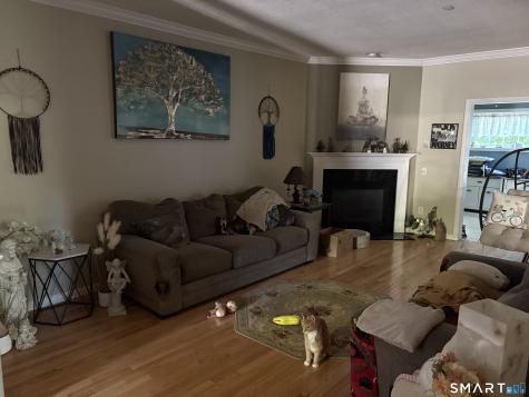 37 Ballymeade Lane Windsor CT 06095