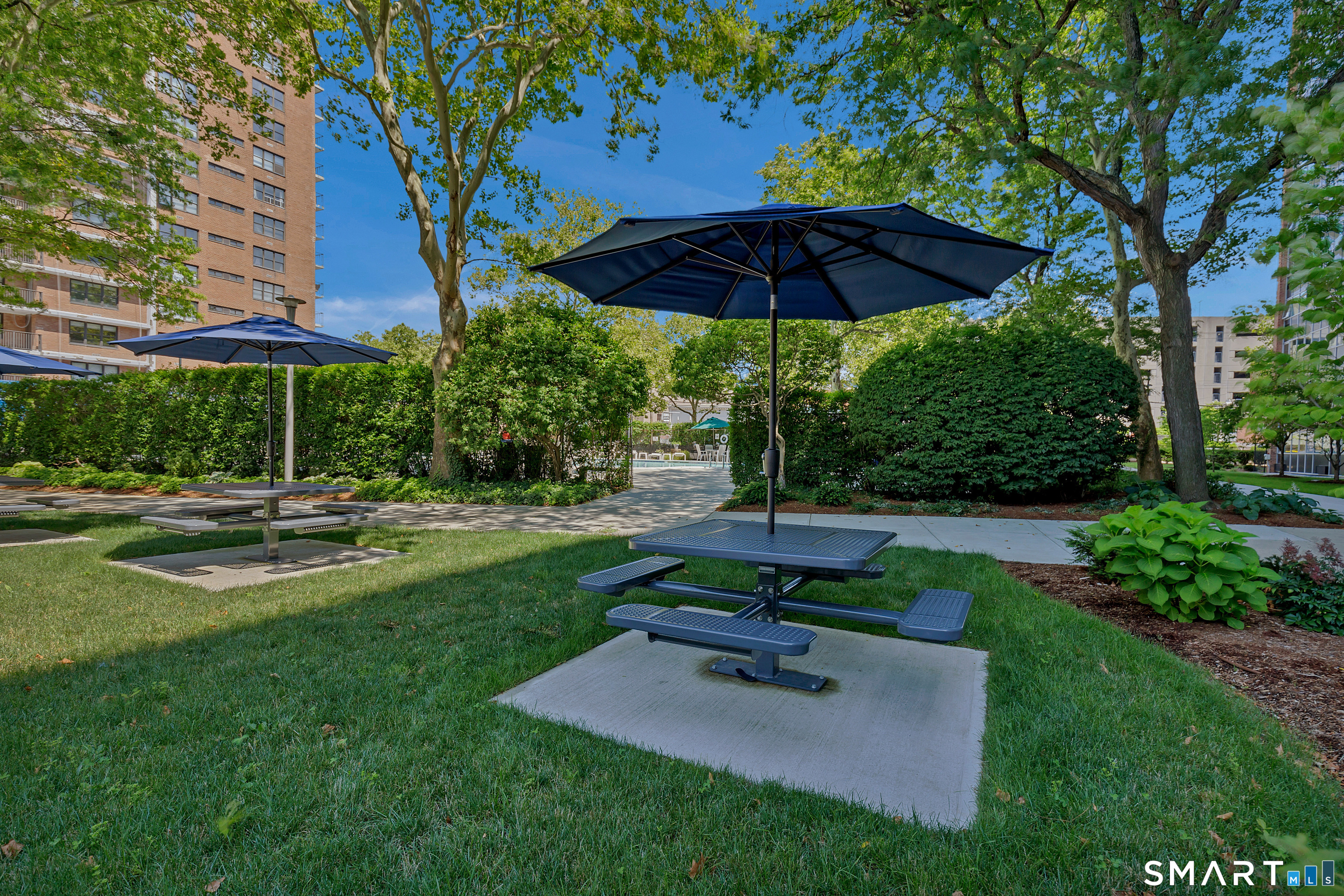 100 York Street New Haven CT 06511