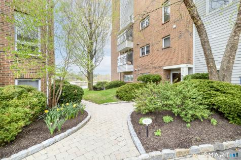 123 Harbor Drive Stamford CT 06902