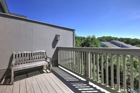 65 Elizabeth Circle Newtown CT 06482