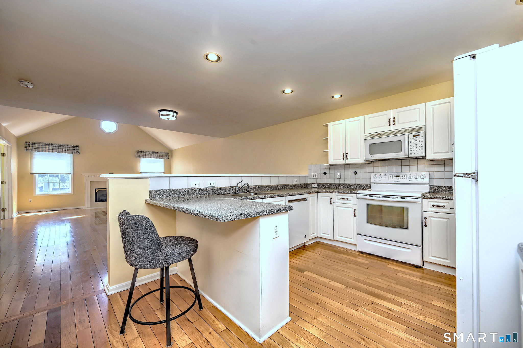 65 Elizabeth Circle Newtown CT 06482