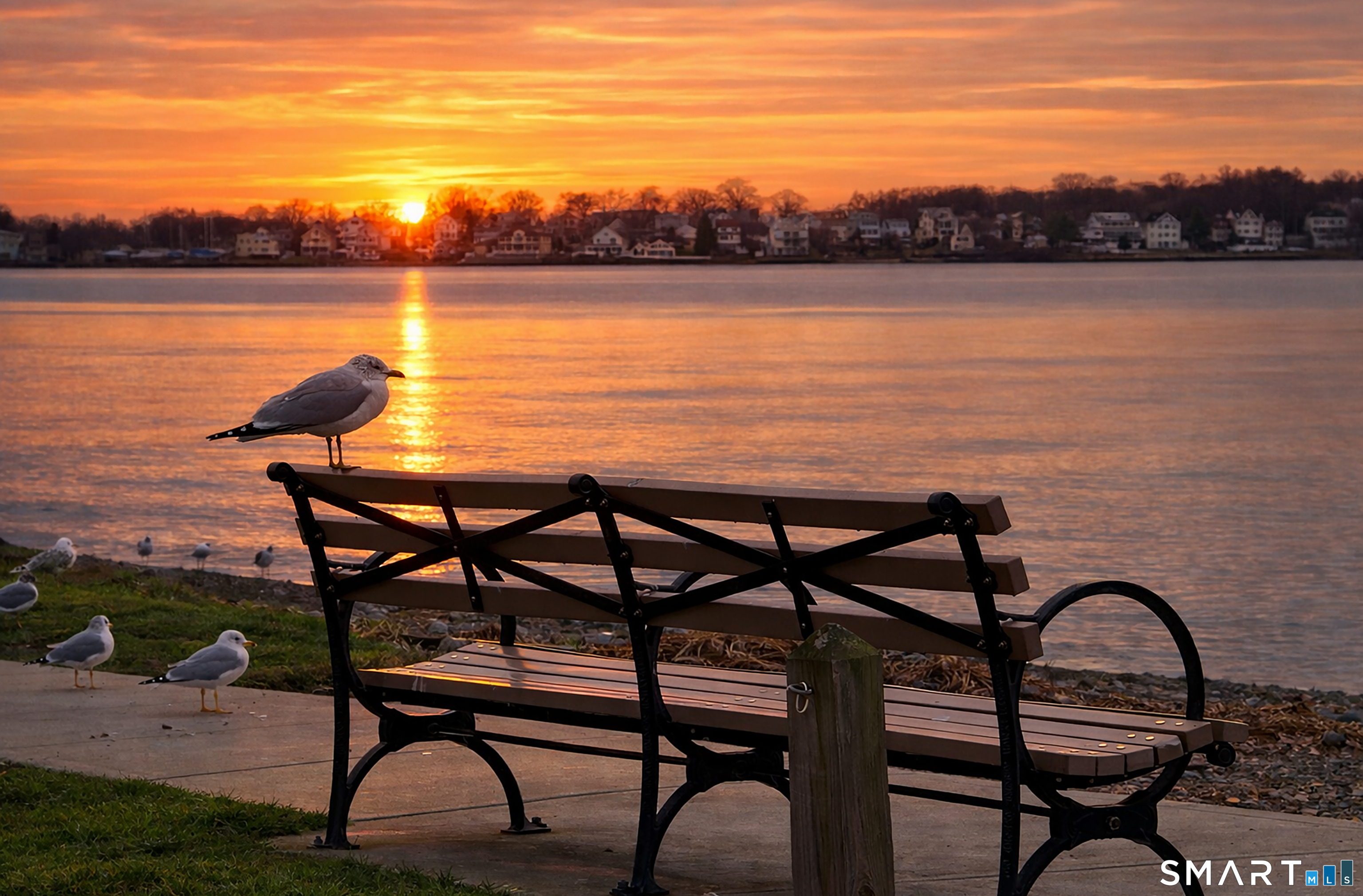 24 Woodward Avenue New Haven CT 06512