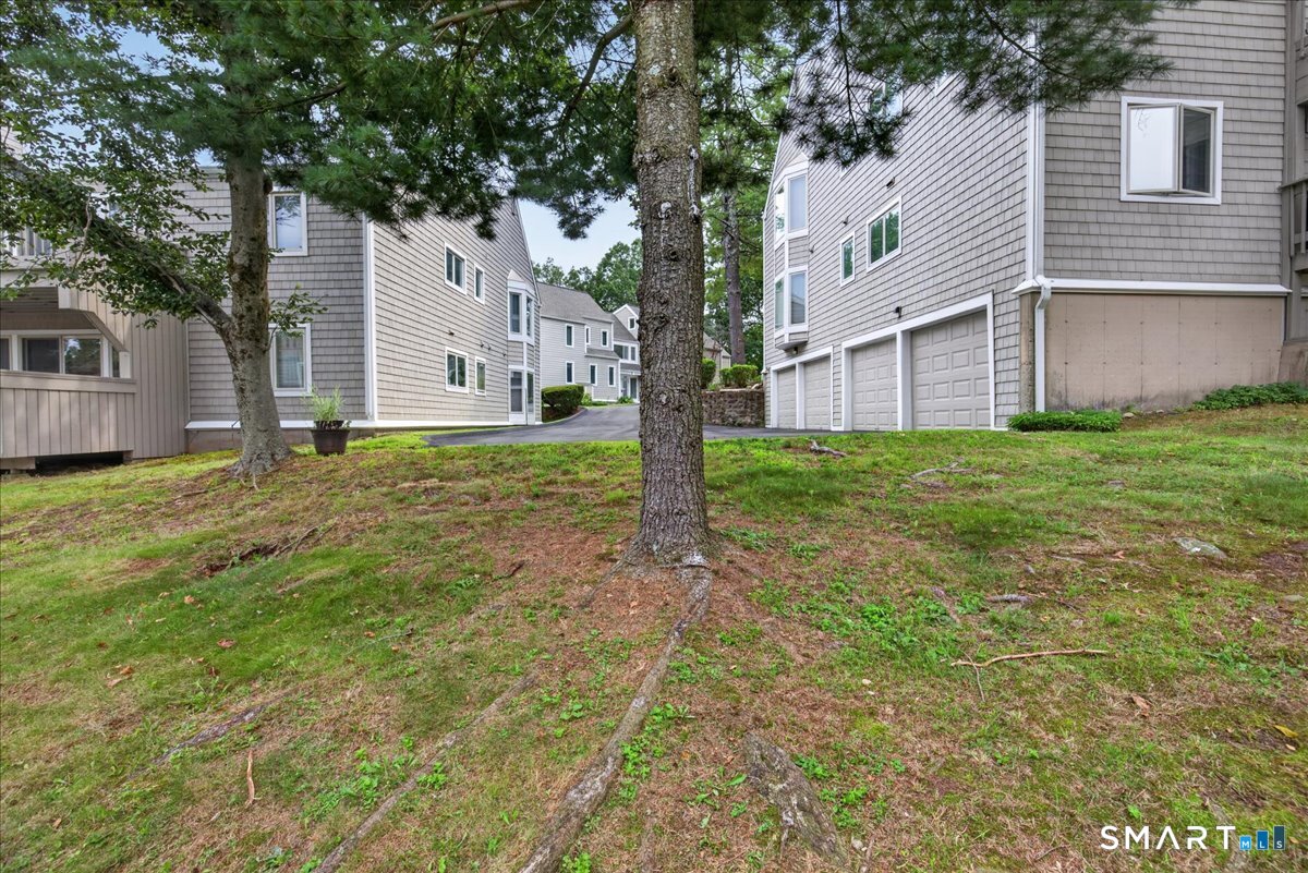 360 Fountain Street New Haven CT 06519