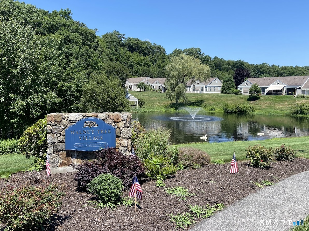 8 Saint George Place Newtown CT 06482