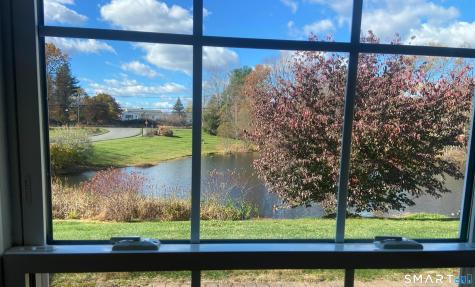 8 Saint George Place Newtown CT 06482