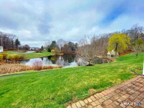 8 Saint George Place Newtown CT 06482