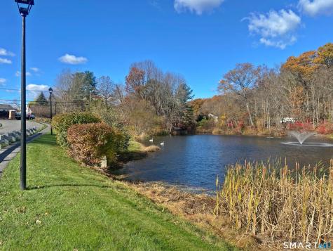 8 Saint George Place Newtown CT 06482