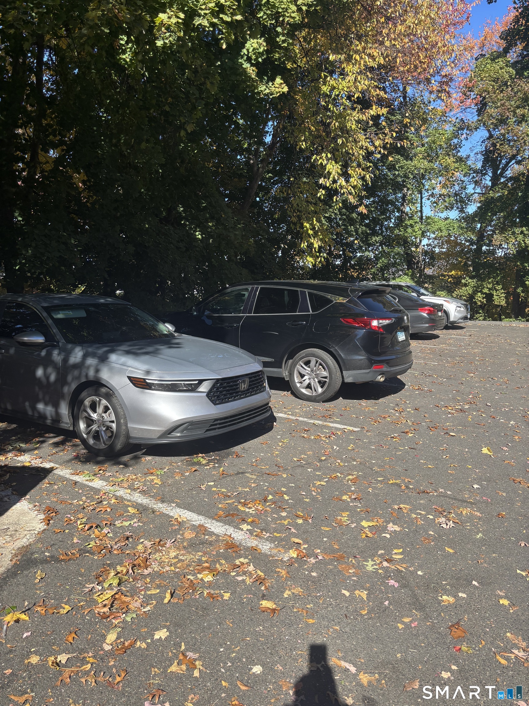23 Shirley Street Waterbury CT 06708