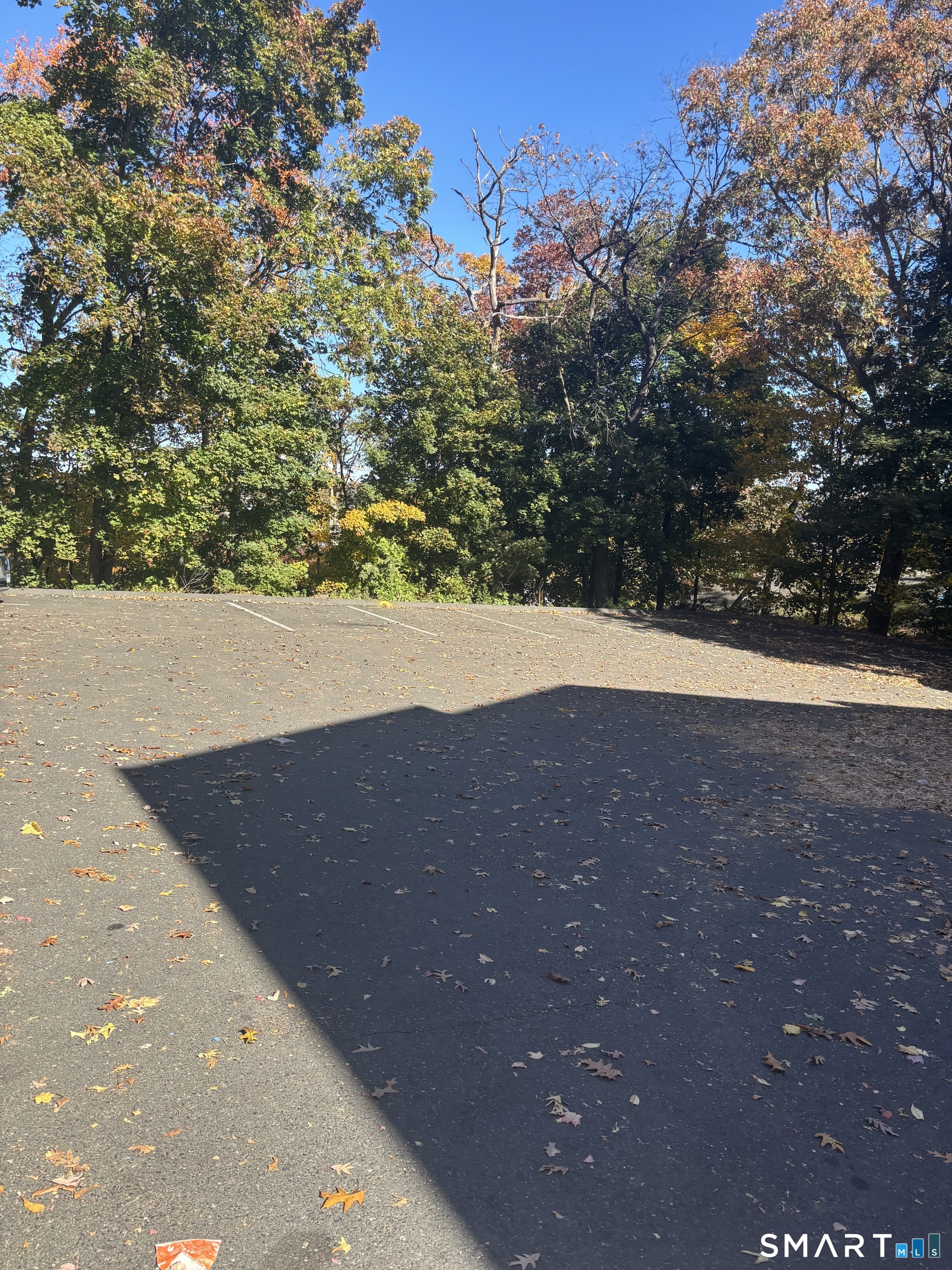 23 Shirley Street Waterbury CT 06708