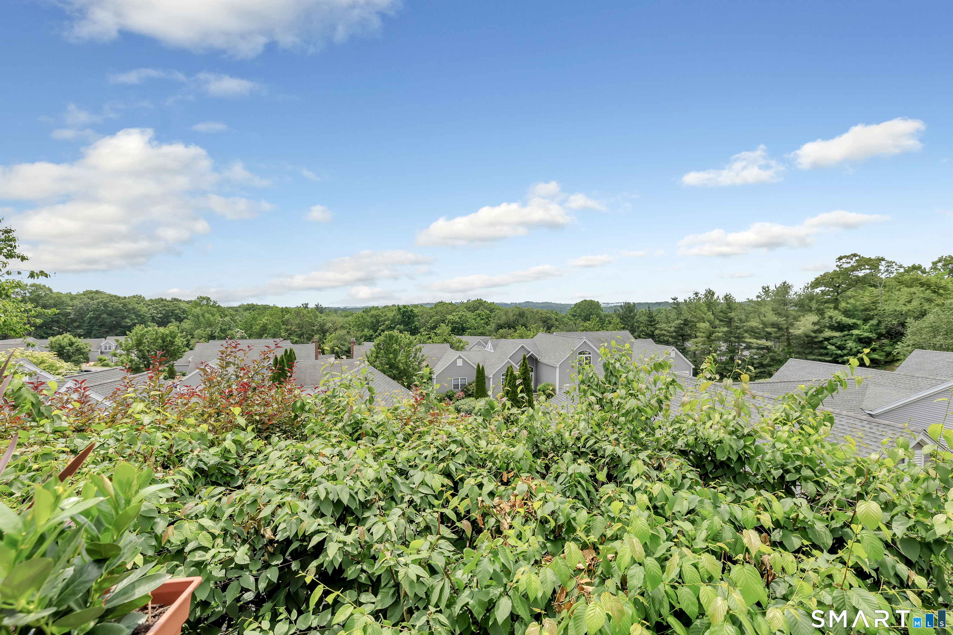 459 Fisher Court Shelton CT 06484