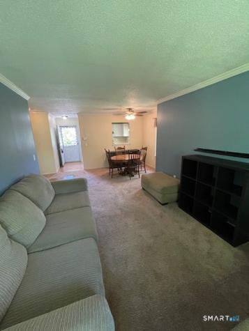 53 Brushy Plain Road Branford CT 06405
