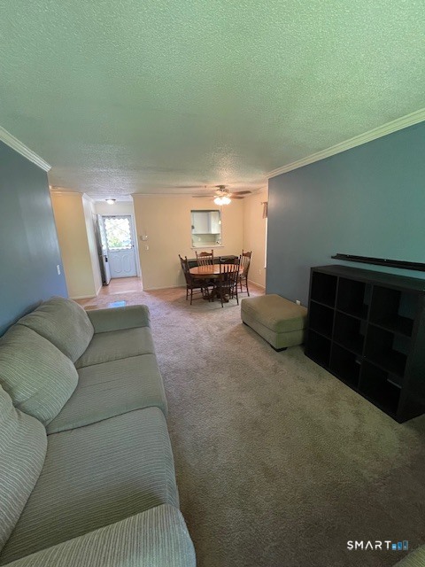 53 Brushy Plain Road Branford CT 06405