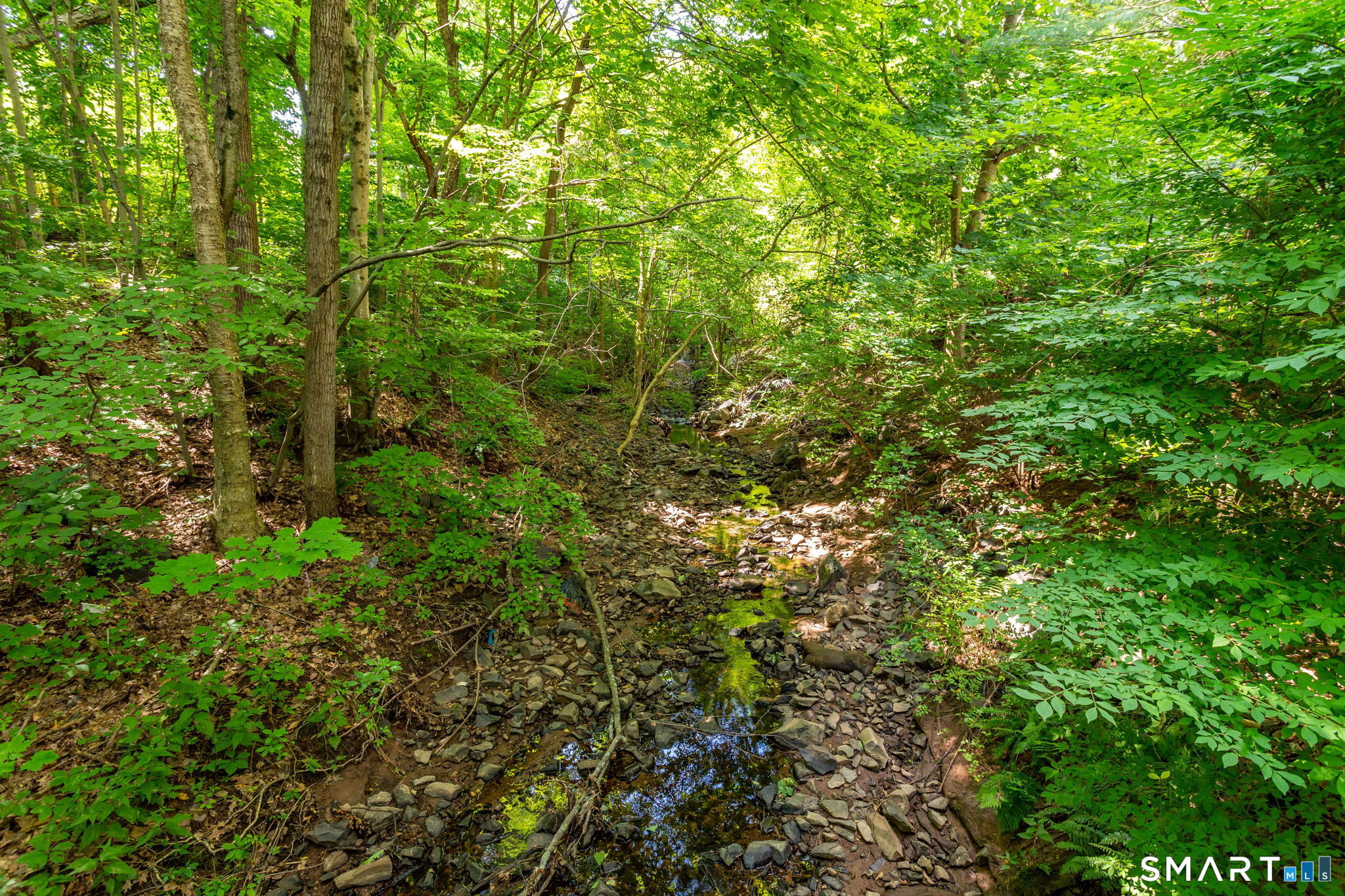 5 Brookwood Drive Rocky Hill CT 06067