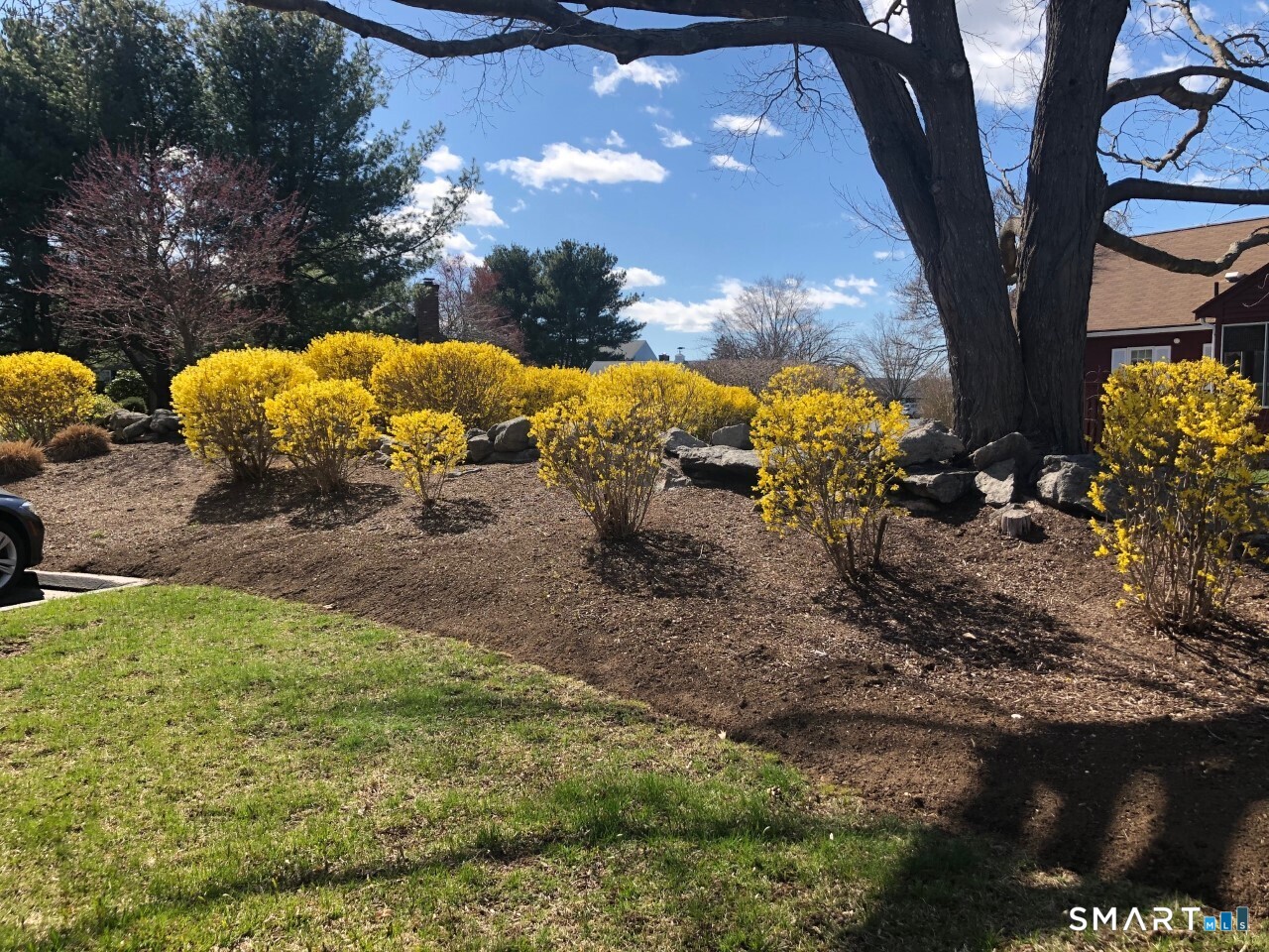 3 Sandgate Circle Madison CT 06443