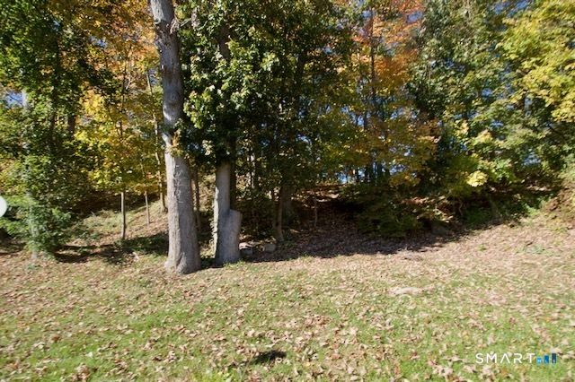 146 Springside Avenue New Haven CT 06515