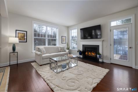 1 Arrowwood Court Middlebury CT 06762