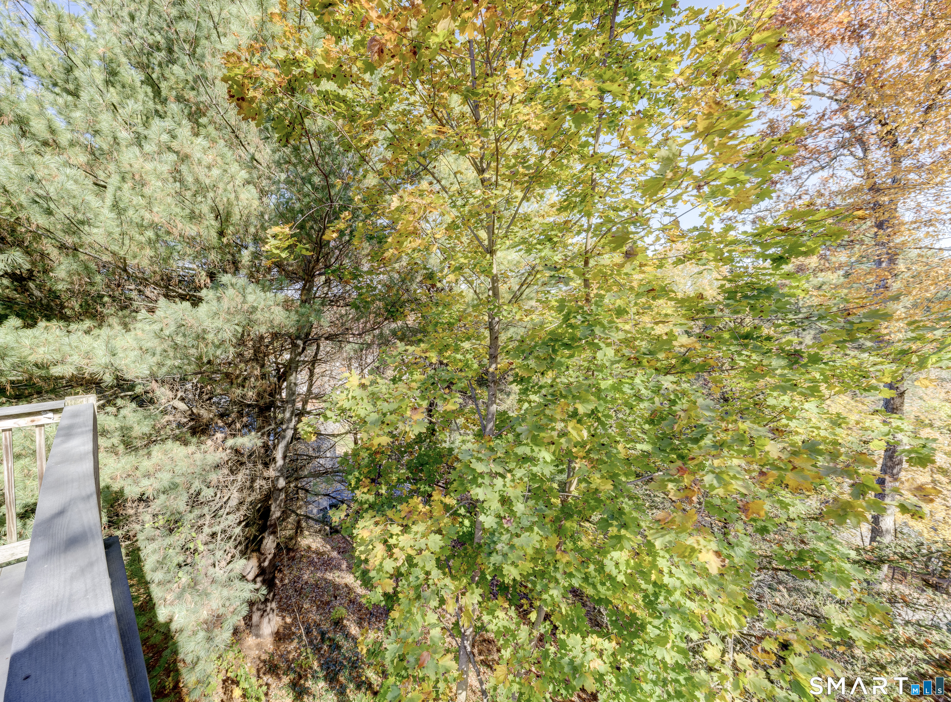 26 Forest Hill Drive Simsbury CT 06070