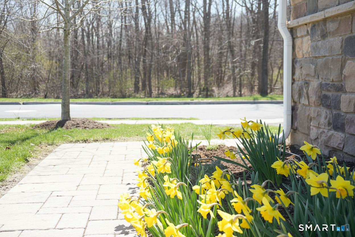 42 Lexie Lane South Windsor CT 06074