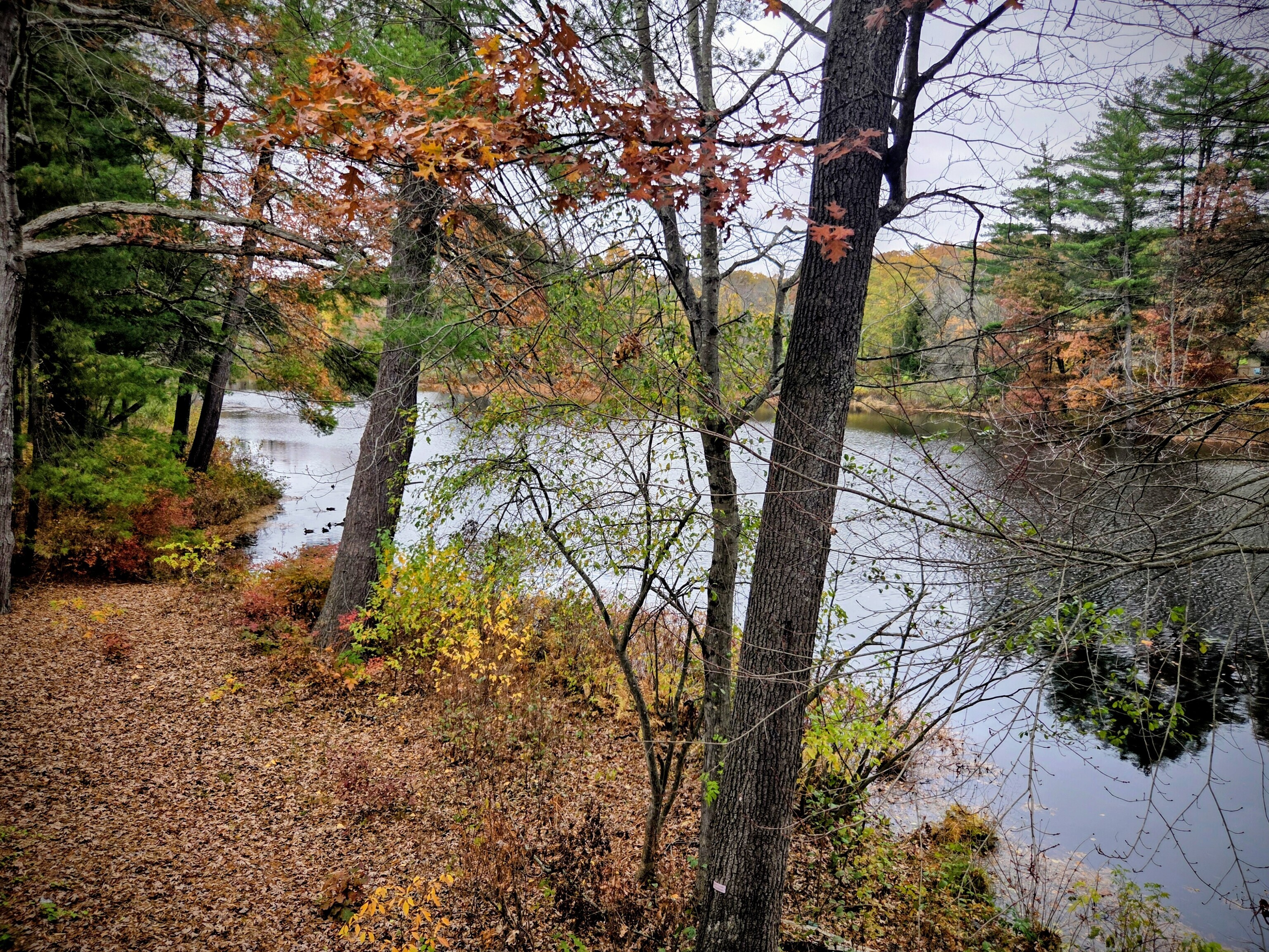 15 Greenwich Lane Avon CT 06001