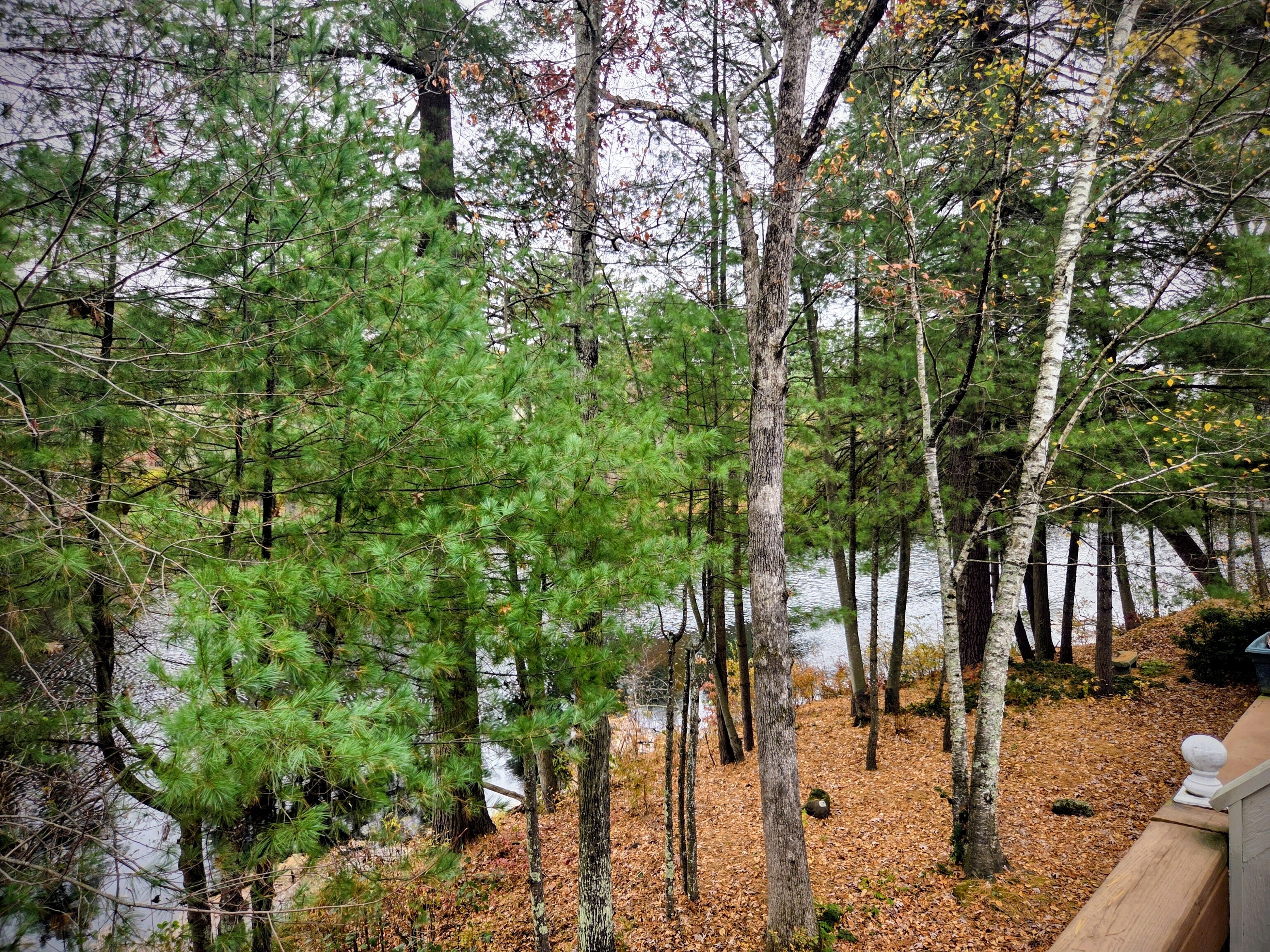 15 Greenwich Lane Avon CT 06001