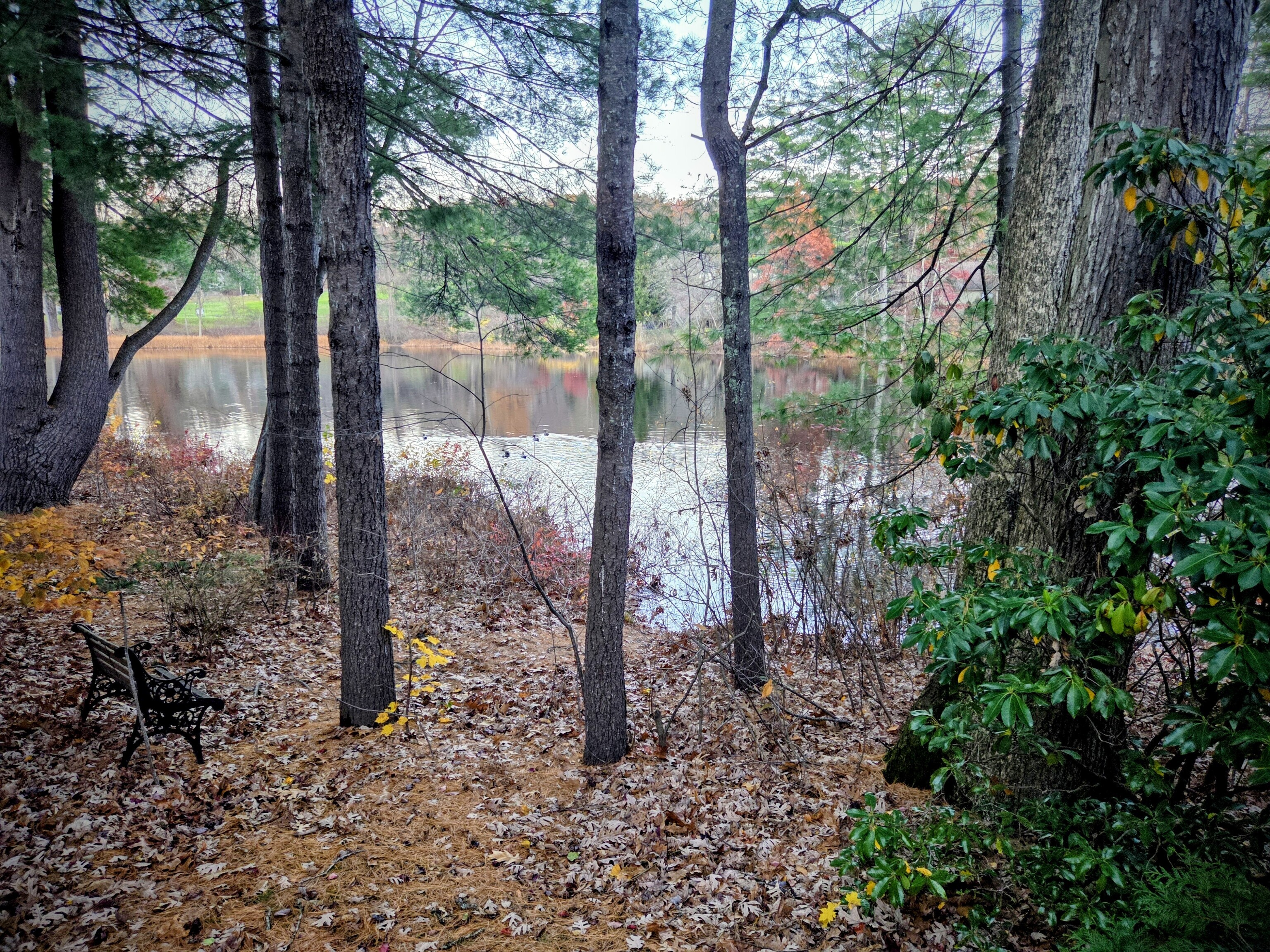 15 Greenwich Lane Avon CT 06001