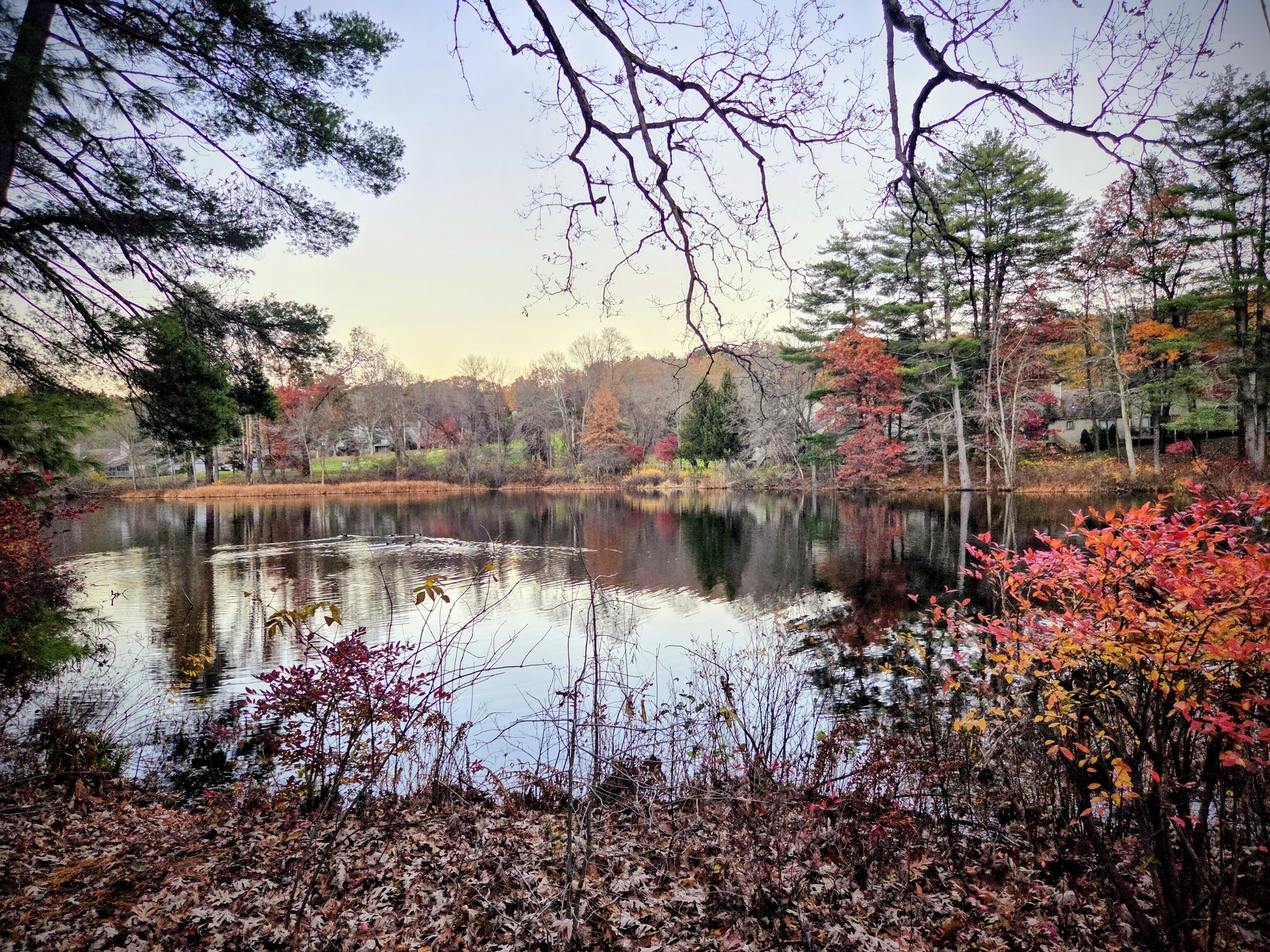 15 Greenwich Lane Avon CT 06001