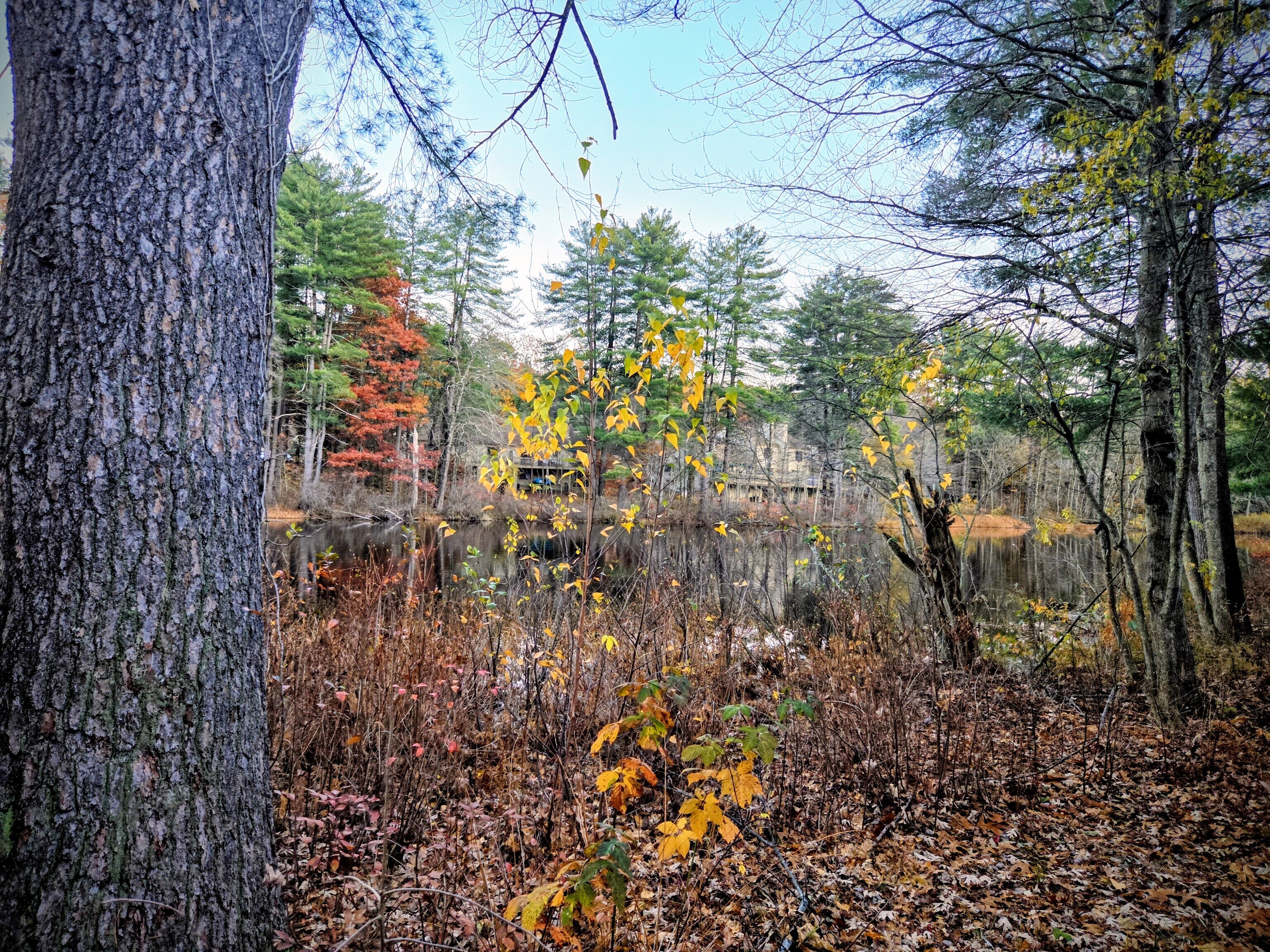 15 Greenwich Lane Avon CT 06001