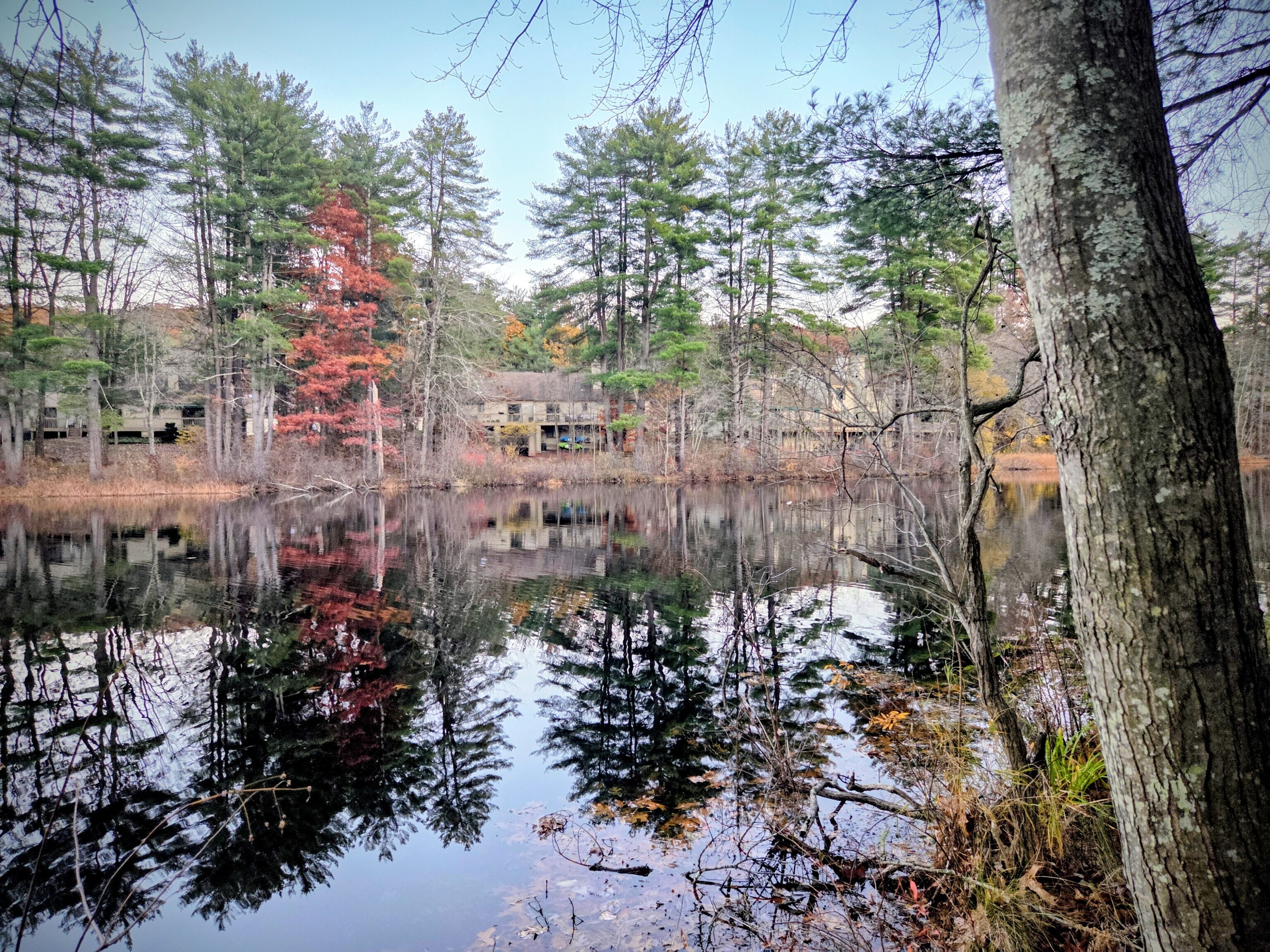 15 Greenwich Lane Avon CT 06001