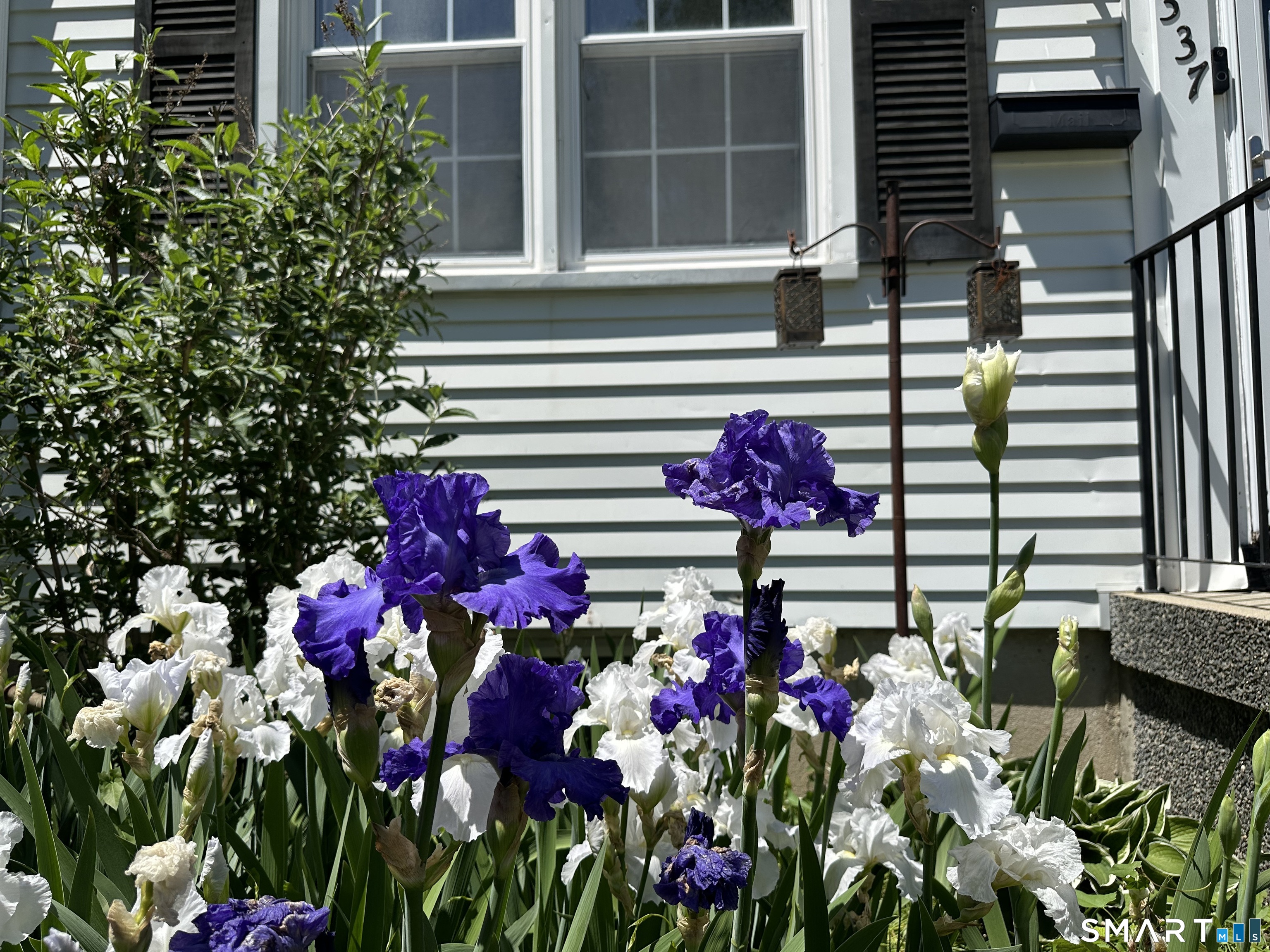 337 Sylvan Knoll Road Stamford CT 06902