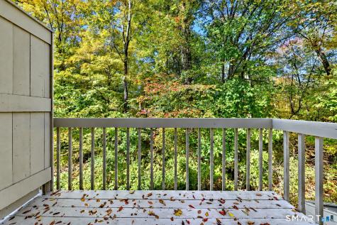 246 Opening Hill Road Branford CT 06405