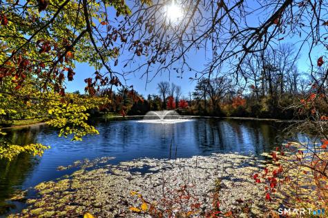 8 Island Path Ridgefield CT 06877