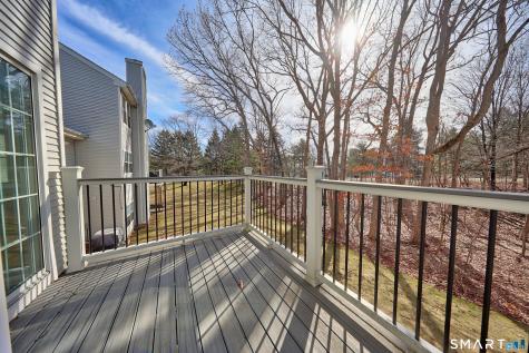 103 The Mews Rocky Hill CT 06067