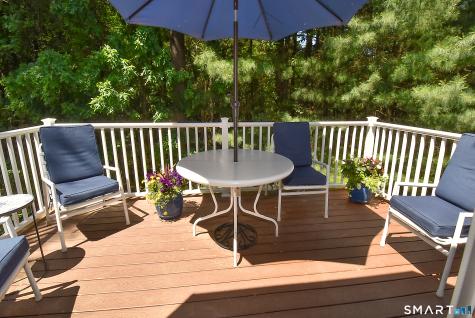 19 Marble Faun Lane Windsor CT 06095