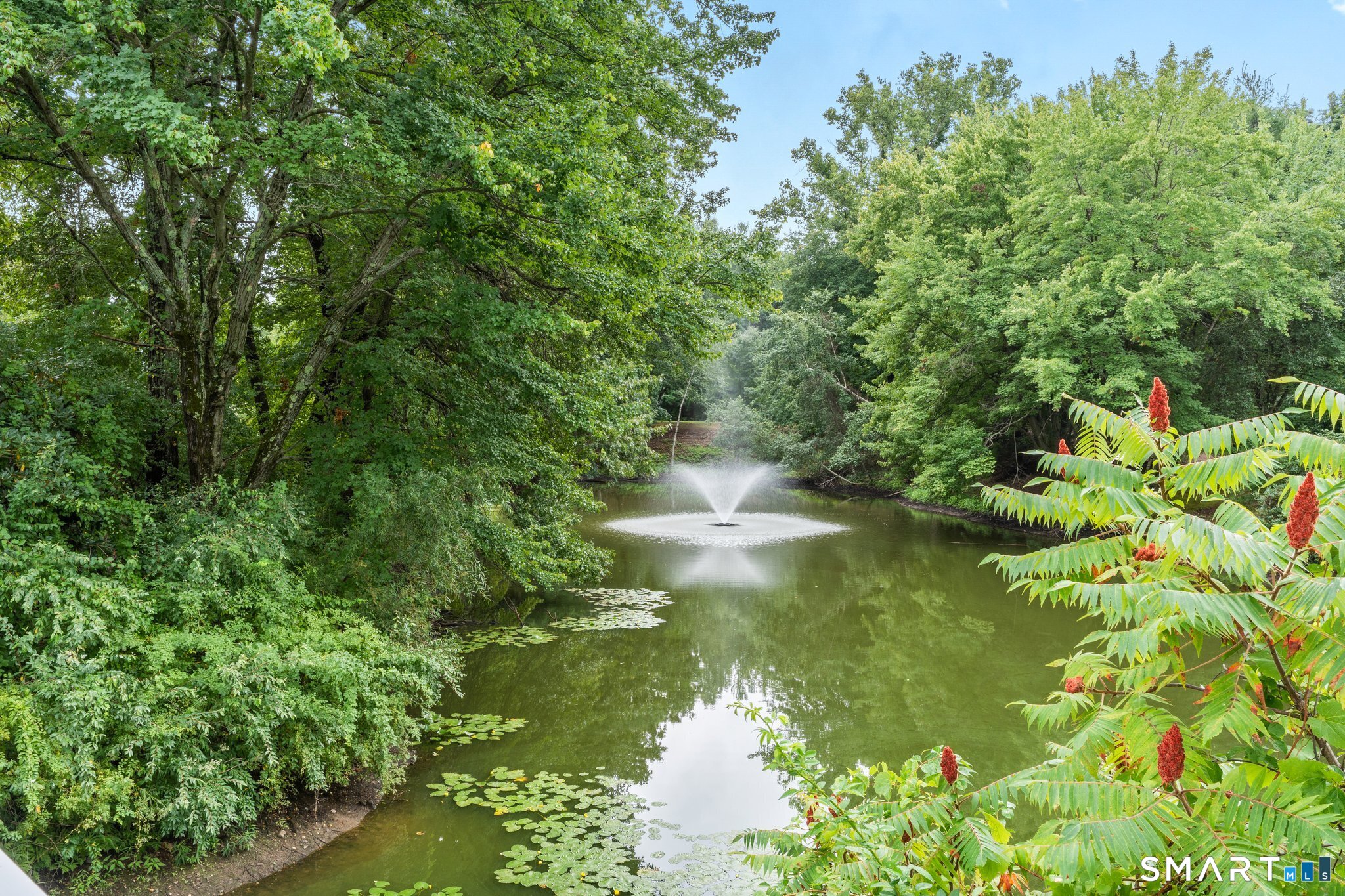 19 Marble Faun Lane Windsor CT 06095