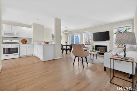 1502 Pinnacle Way Danbury CT 06811