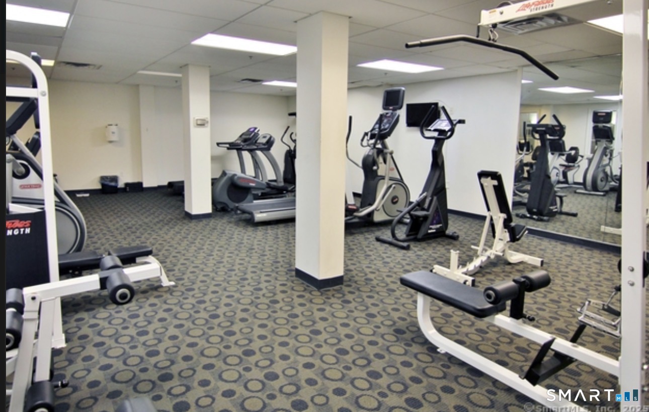 59 Courtland Avenue Stamford CT 06902