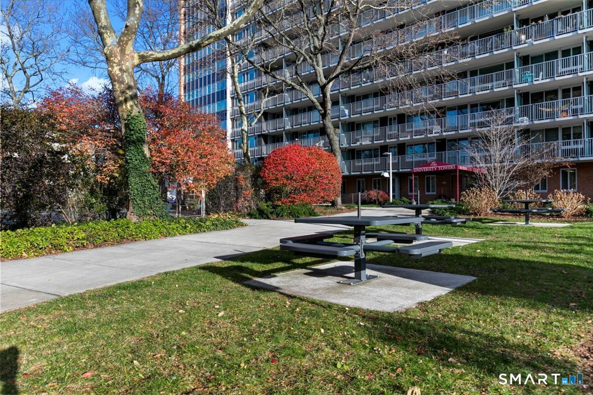 100 York Street New Haven CT 06511