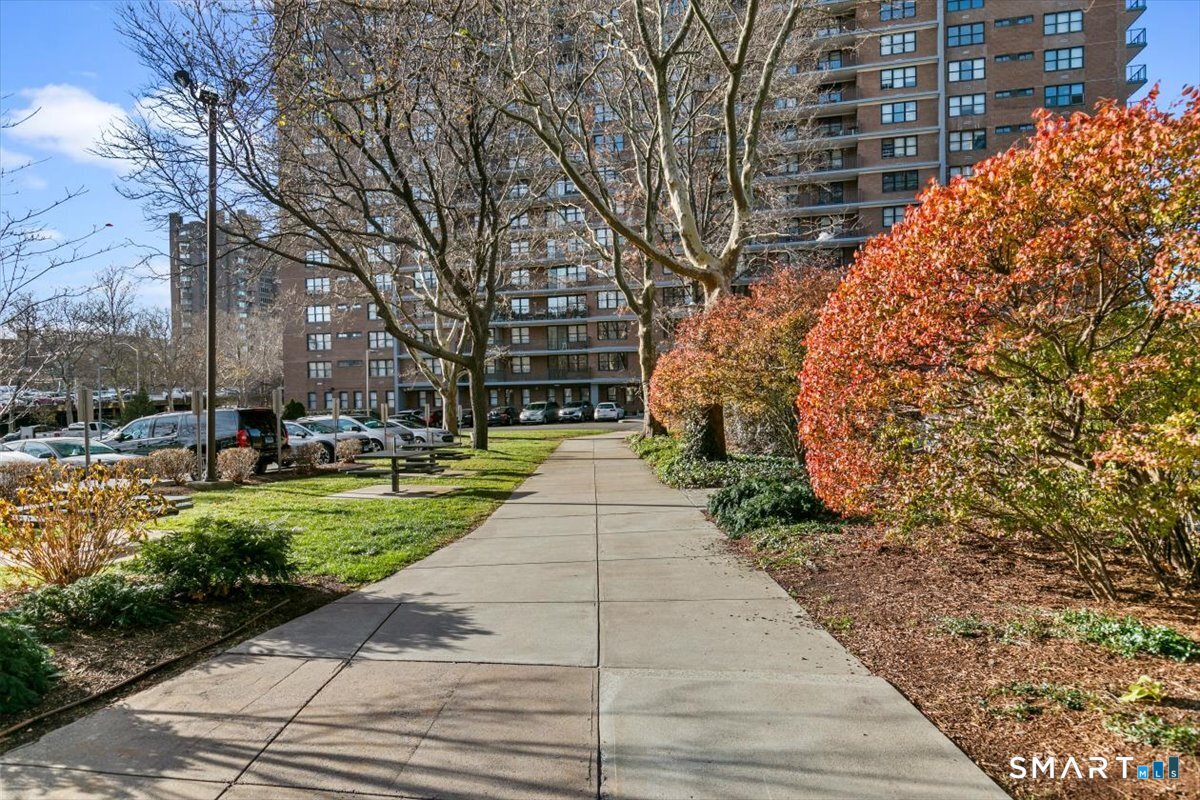 100 York Street New Haven CT 06511
