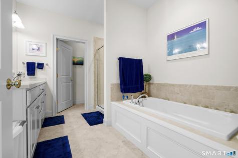 46 Great Heron Lane Brookfield CT 06804