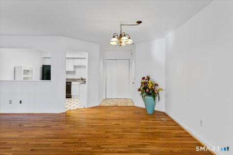 13 Harbour Close New Haven CT 06519
