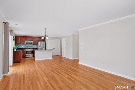 27 Riverview Court Brookfield CT 06804