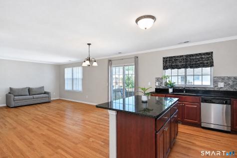 27 Riverview Court Brookfield CT 06804