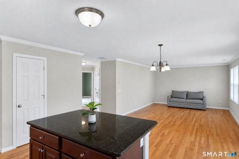 27 Riverview Court Brookfield CT 06804