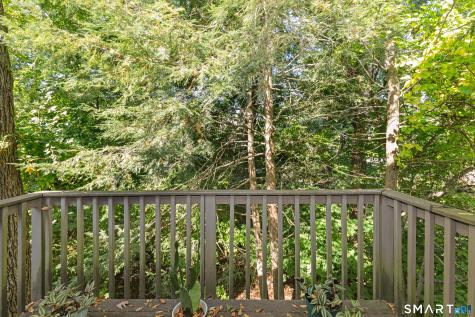 5 Alder Court Woodbury CT 06798