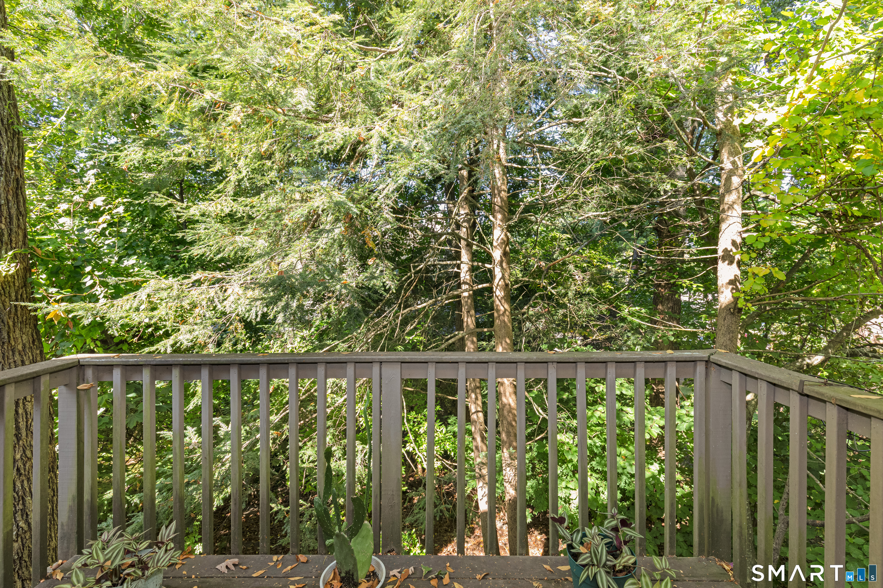5 Alder Court Woodbury CT 06798