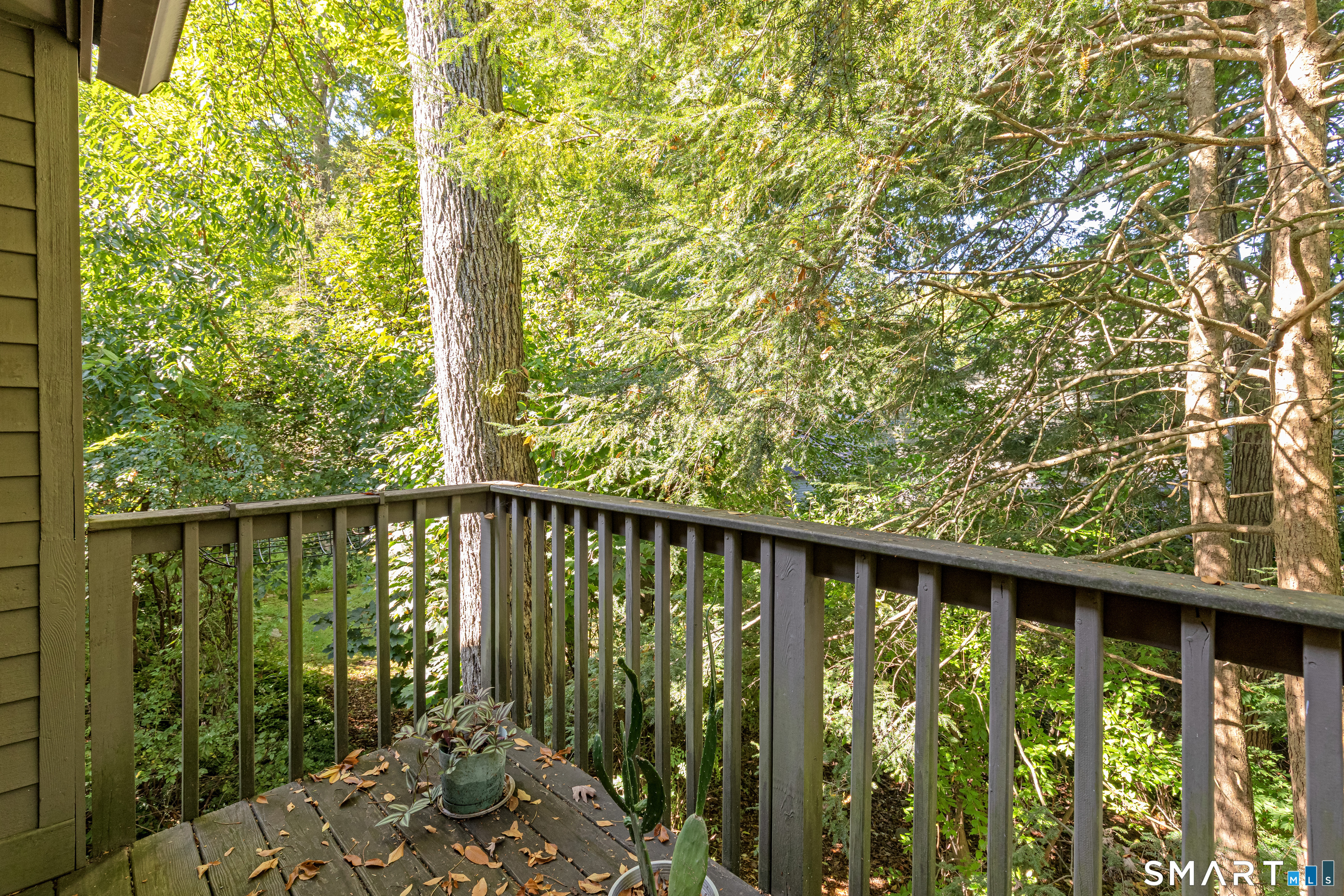 5 Alder Court Woodbury CT 06798