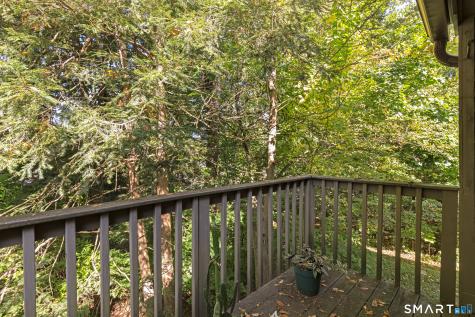 5 Alder Court Woodbury CT 06798